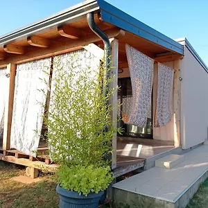 Nature Eco-friendly Pet-friendly Apartment